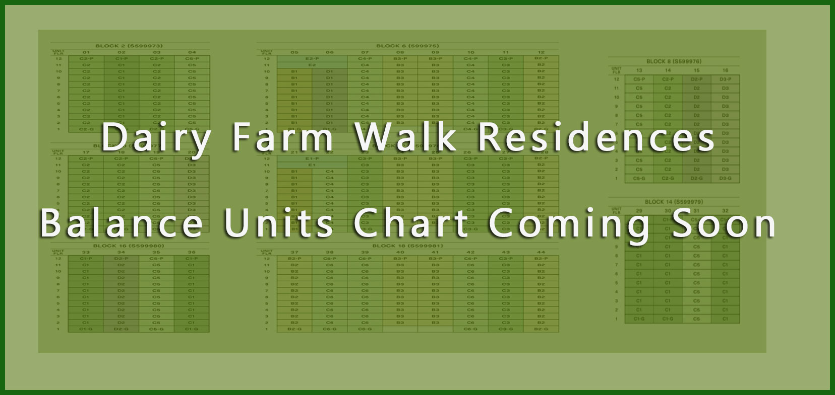 Dairy Farm Walk Residences Balance Units Chart